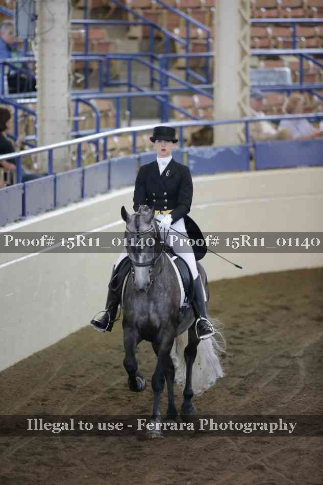 Proof 15R11_01140