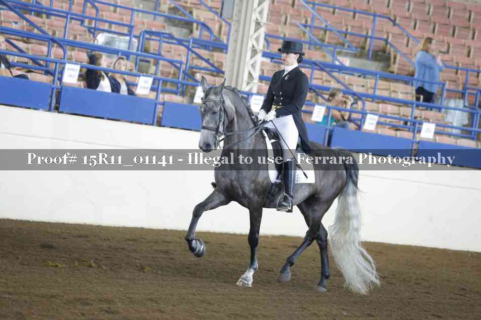 Proof 15R11_01141