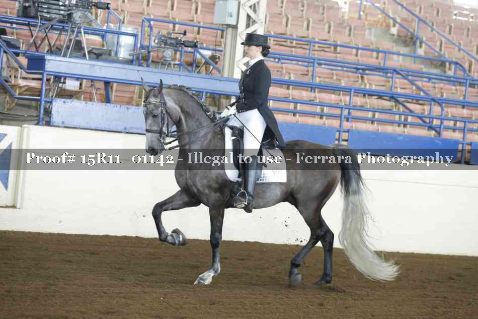 Proof 15R11_01142