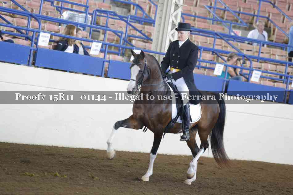Proof 15R11_01144