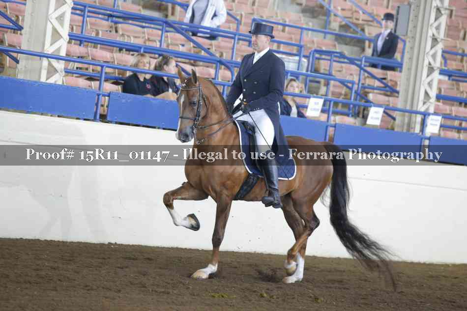 Proof 15R11_01147