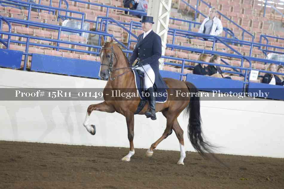 Proof 15R11_01149