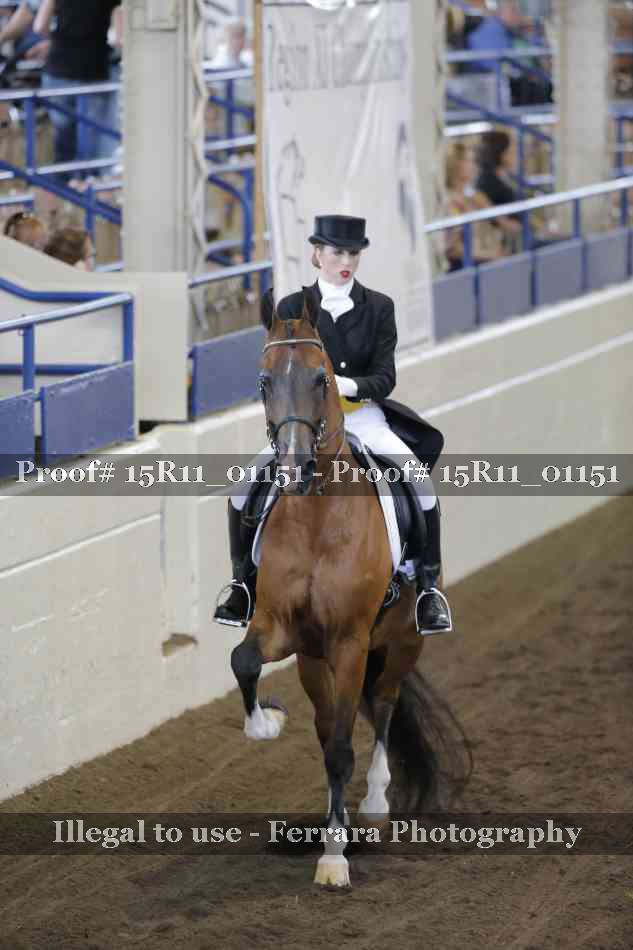 Proof 15R11_01151