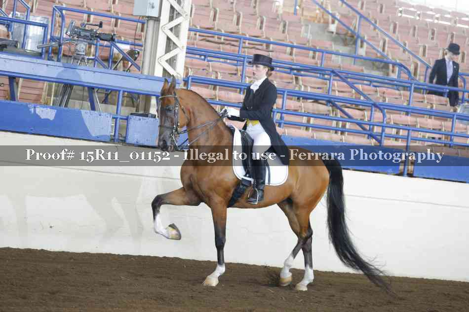 Proof 15R11_01152