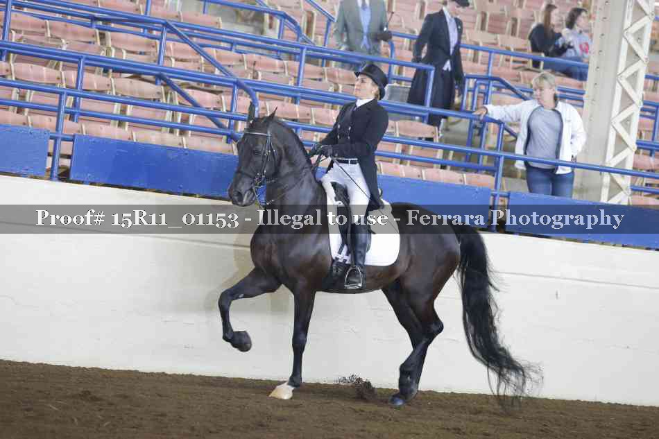 Proof 15R11_01153