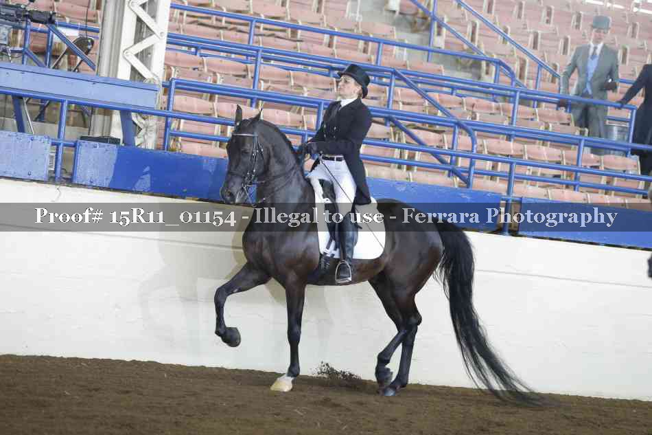 Proof 15R11_01154