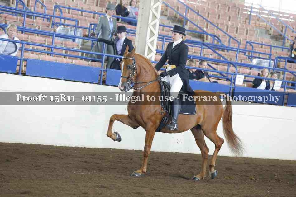 Proof 15R11_01155