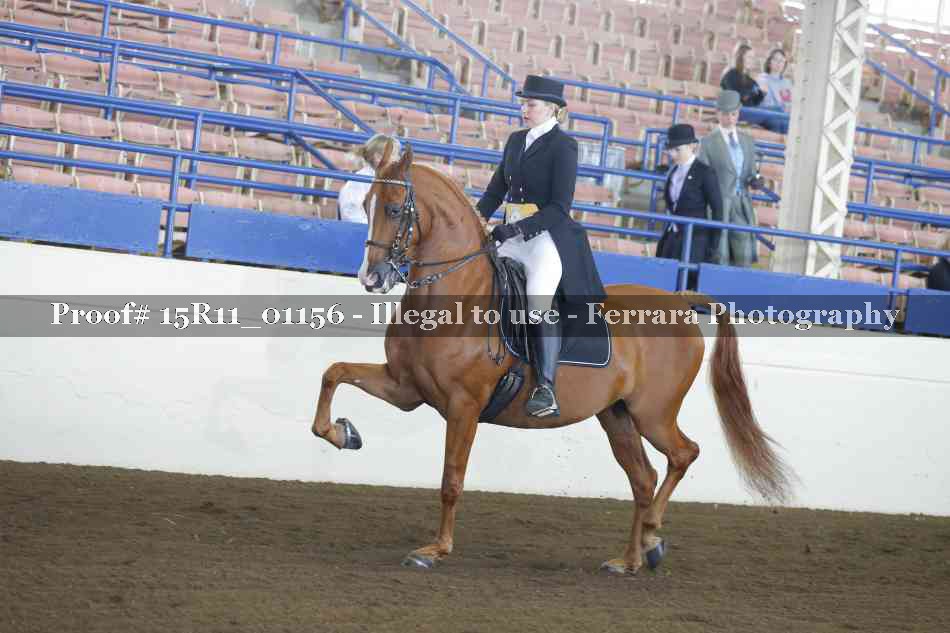 Proof 15R11_01156