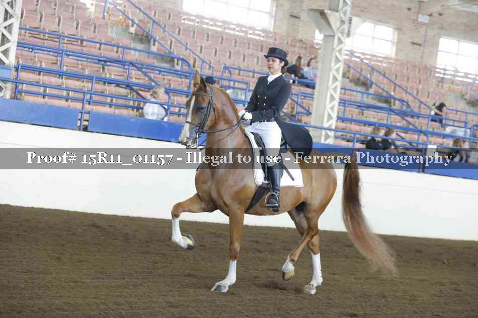 Proof 15R11_01157
