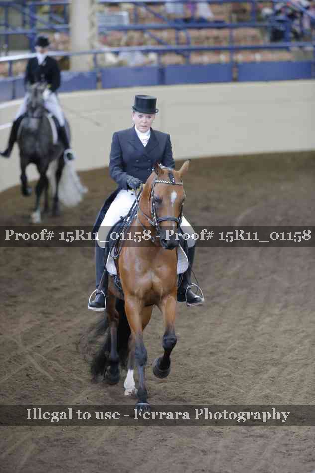 Proof 15R11_01158
