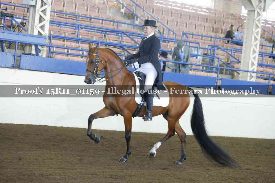 Proof 15R11_01159