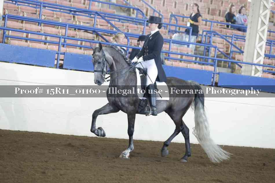 Proof 15R11_01160