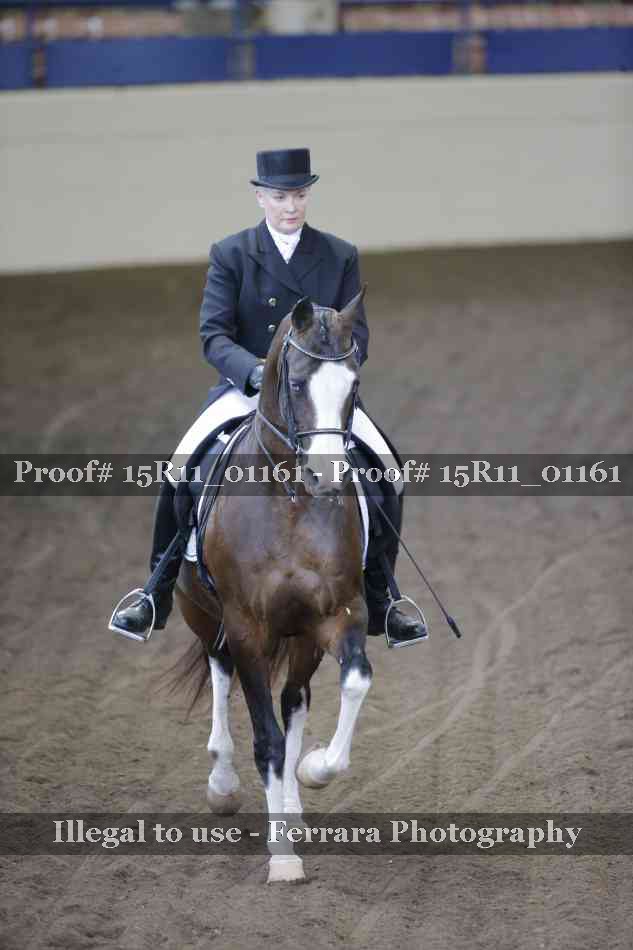 Proof 15R11_01161