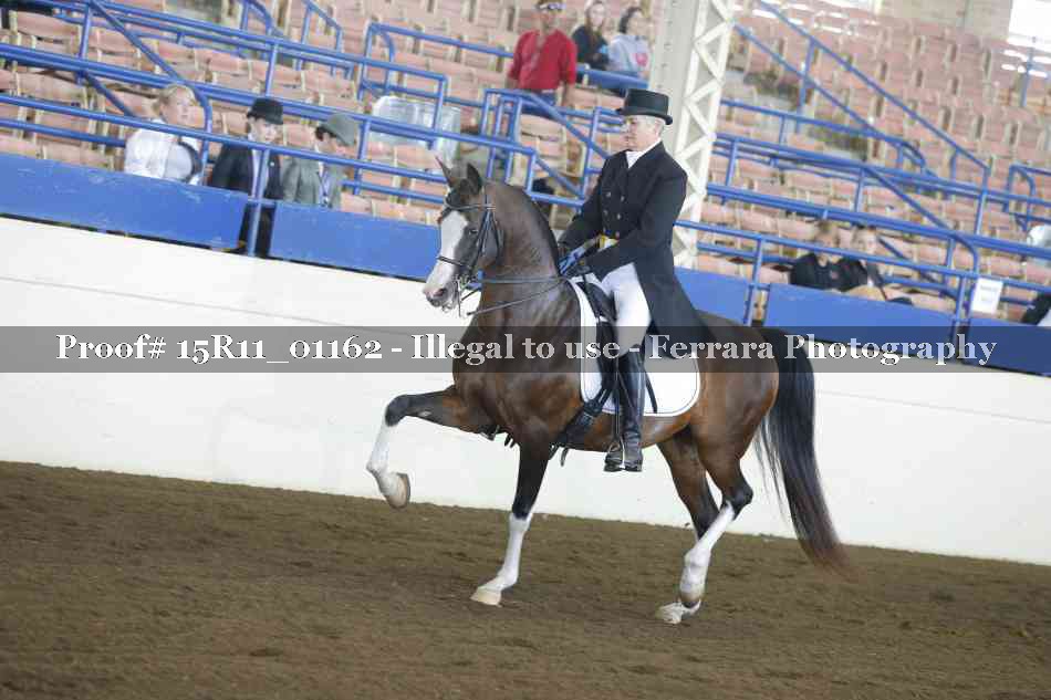 Proof 15R11_01162