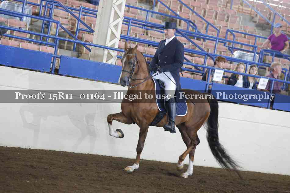 Proof 15R11_01164