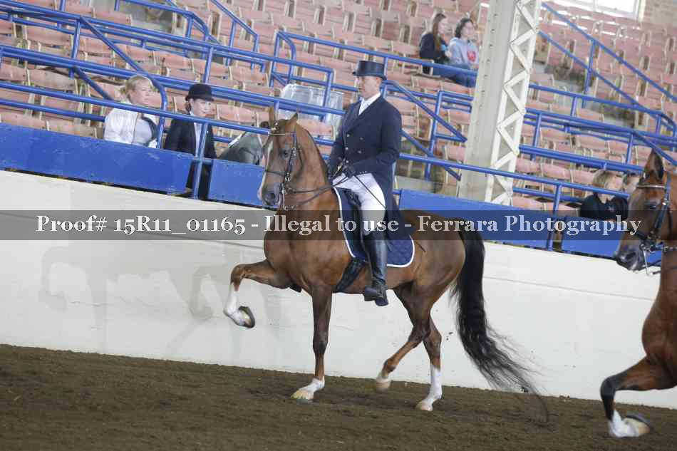 Proof 15R11_01165
