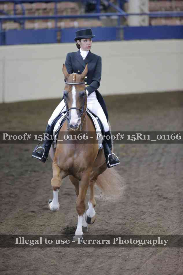Proof 15R11_01166