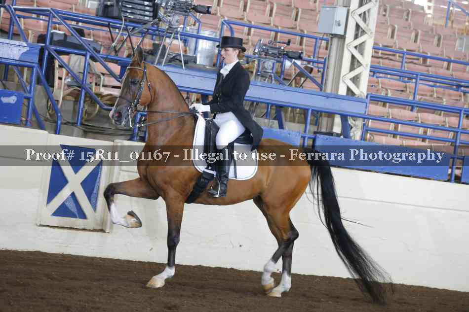 Proof 15R11_01167