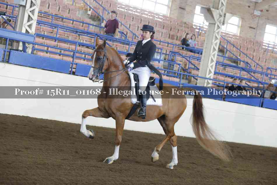 Proof 15R11_01168