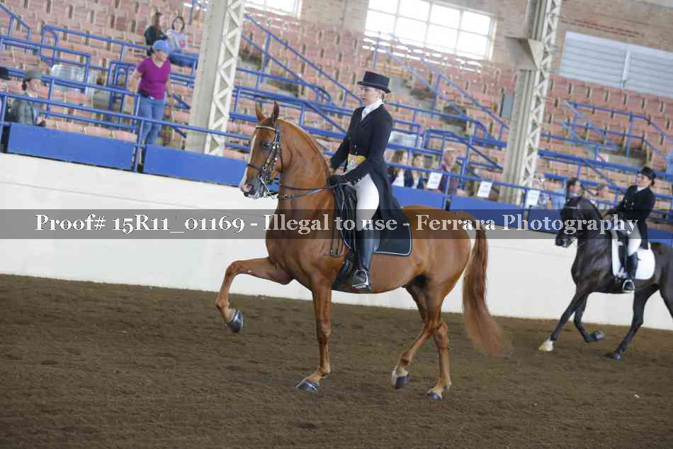 Proof 15R11_01169