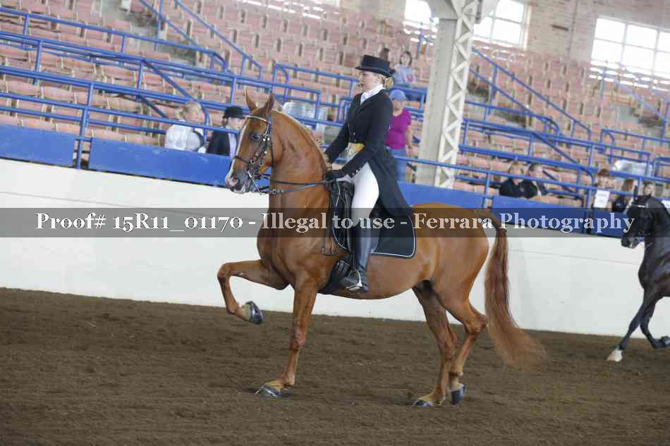 Proof 15R11_01170