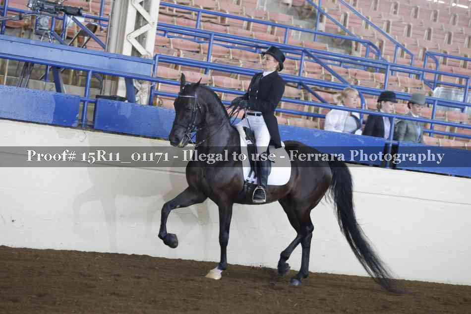 Proof 15R11_01171