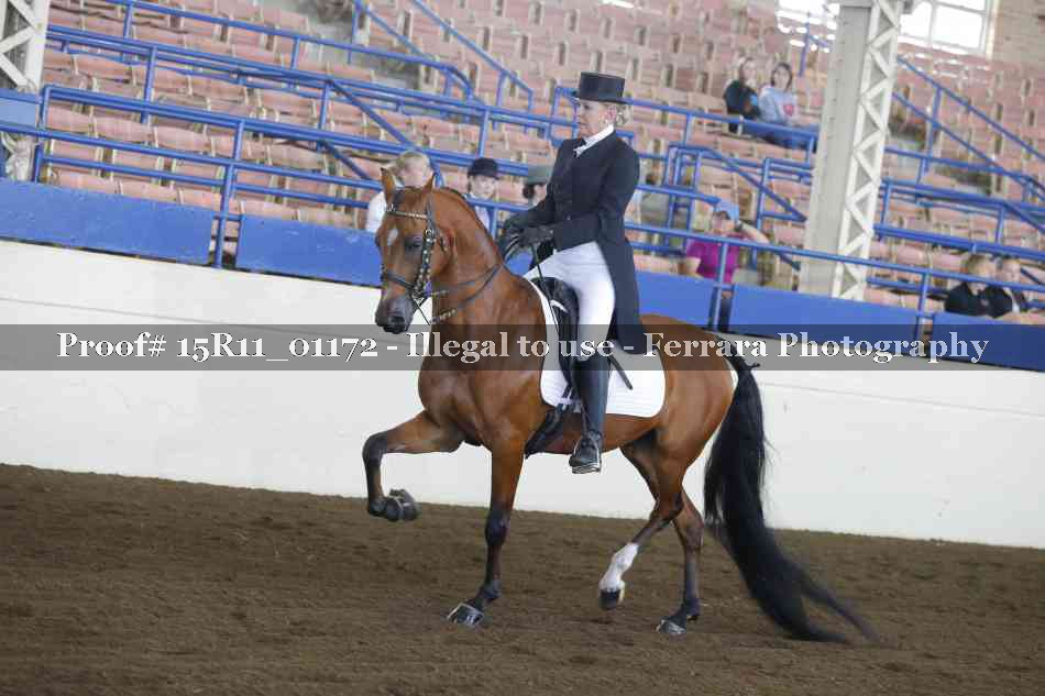 Proof 15R11_01172