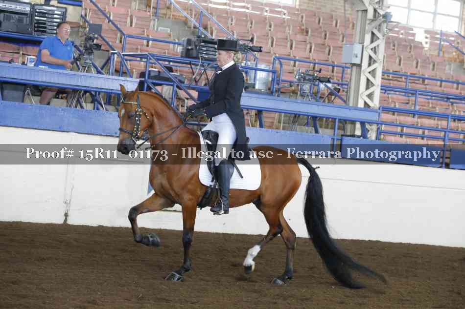 Proof 15R11_01173