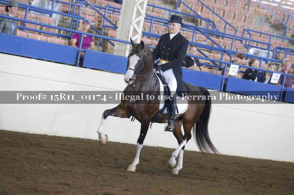 Proof 15R11_01174
