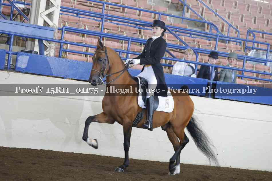 Proof 15R11_01175