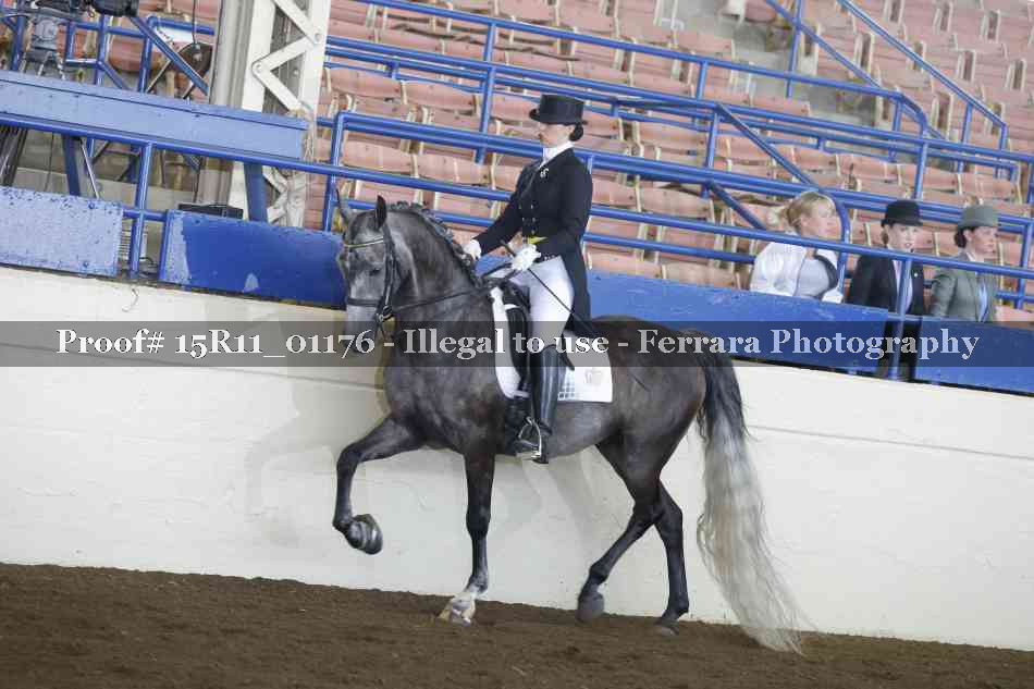 Proof 15R11_01176