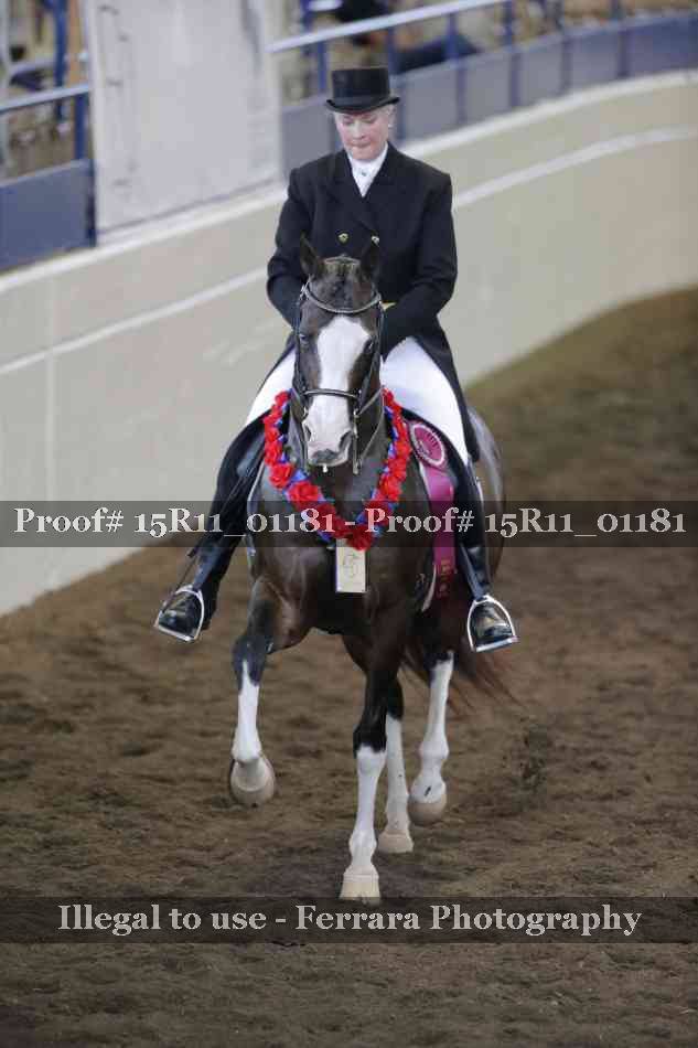 Proof 15R11_01181