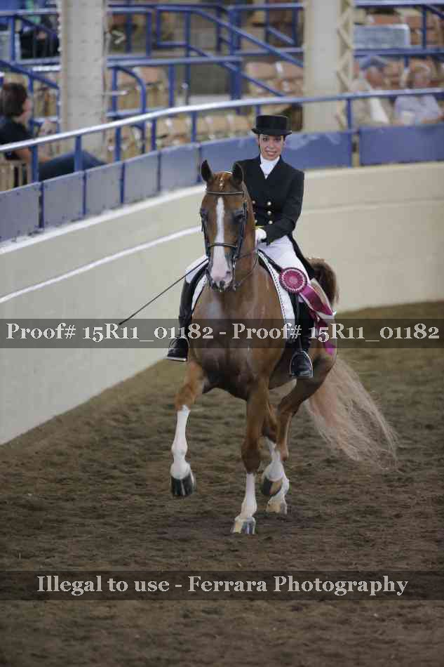 Proof 15R11_01182