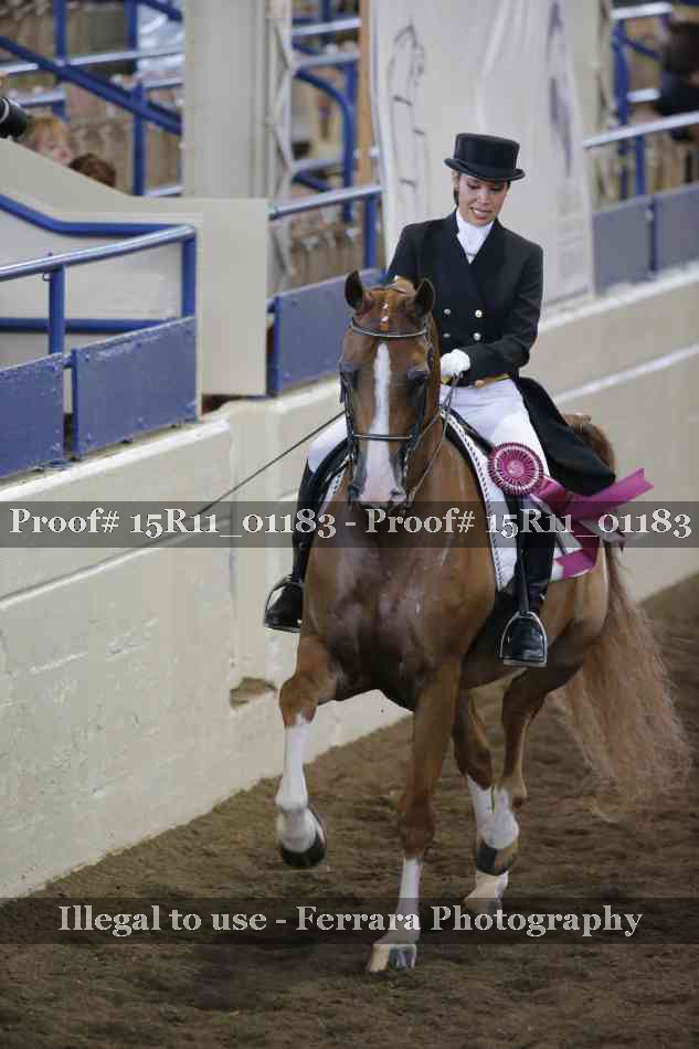 Proof 15R11_01183
