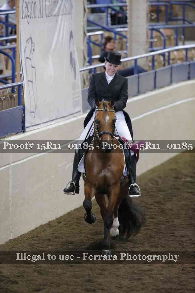 Proof 15R11_01185