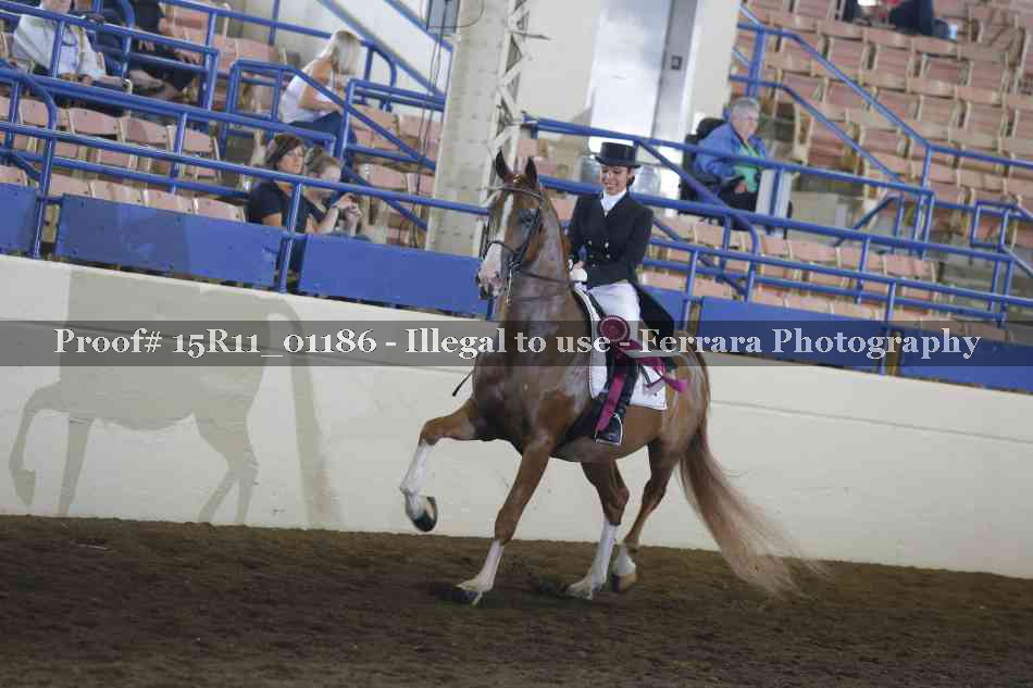 Proof 15R11_01186