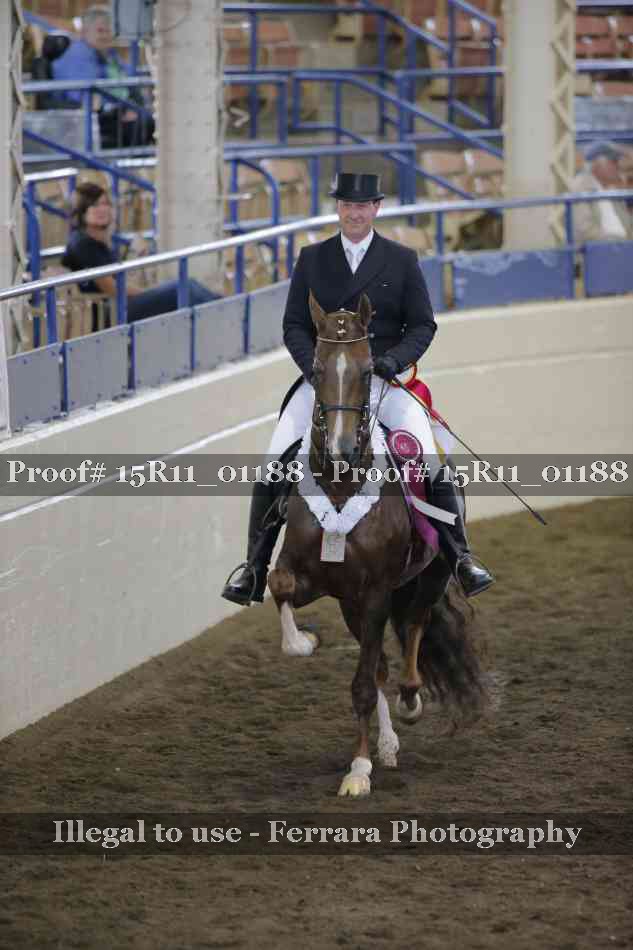 Proof 15R11_01188