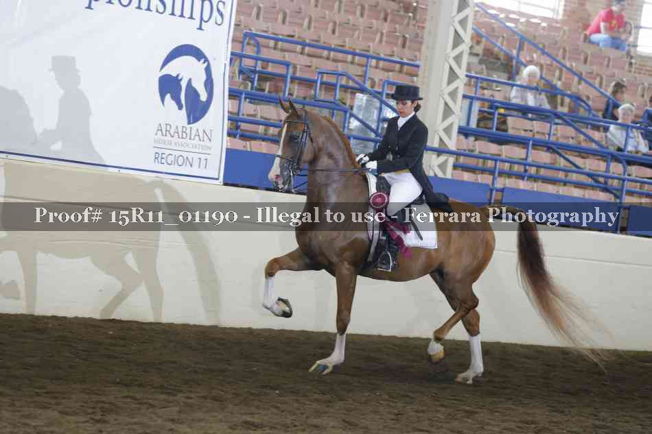 Proof 15R11_01190
