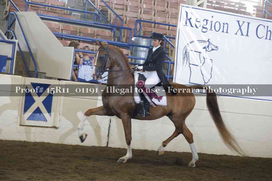 Proof 15R11_01191
