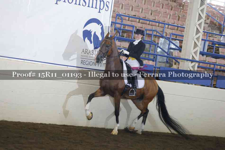 Proof 15R11_01193