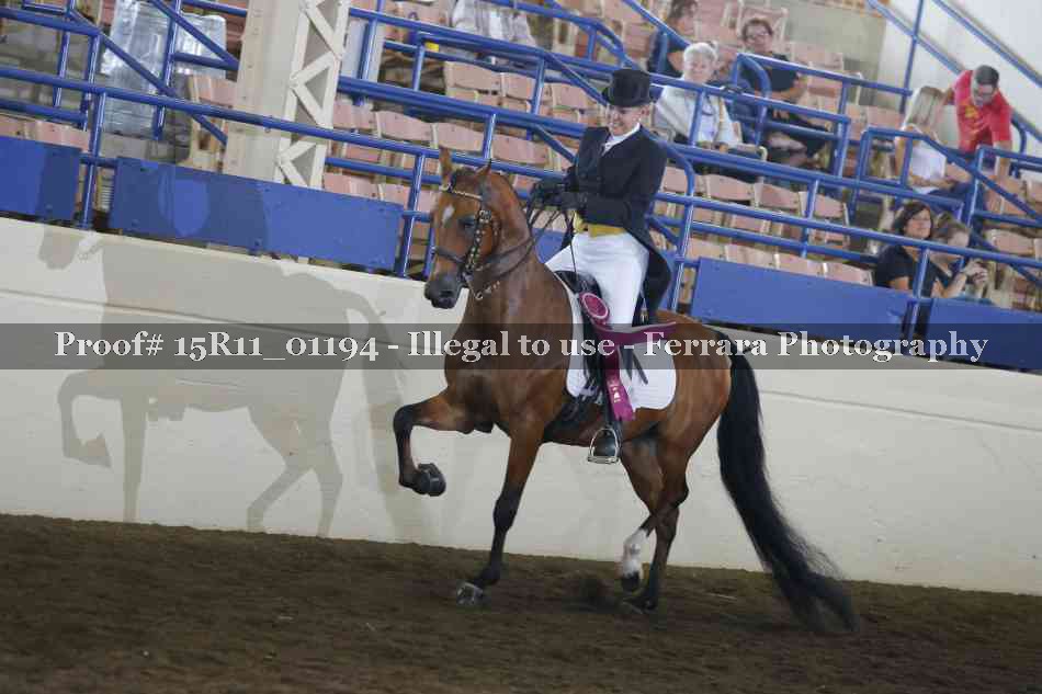 Proof 15R11_01194