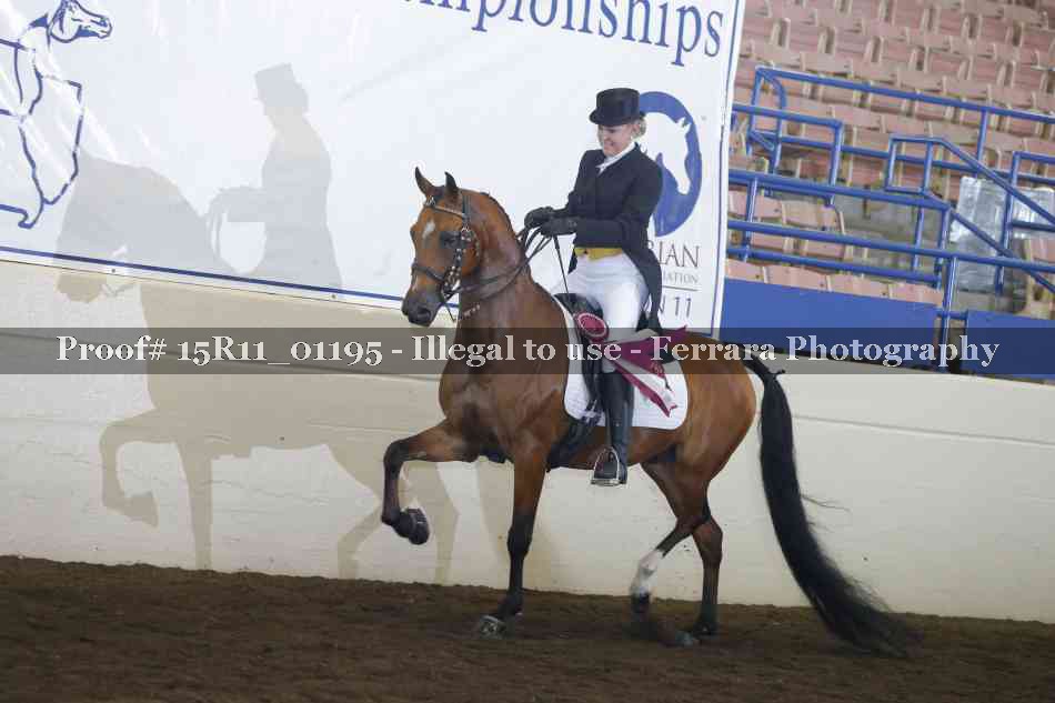 Proof 15R11_01195