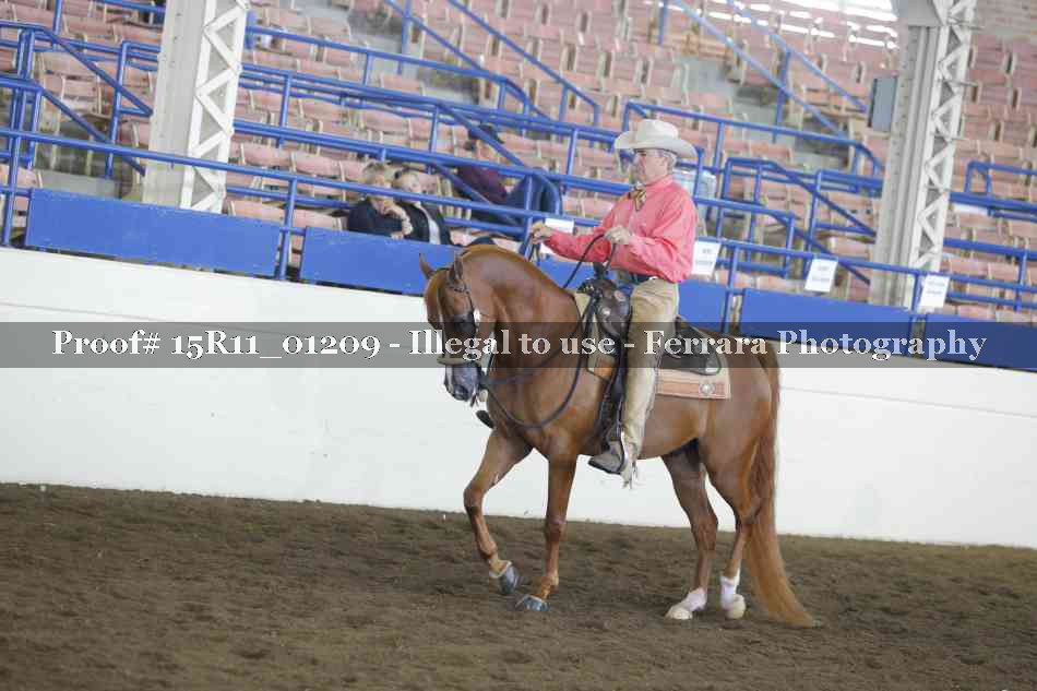 Proof 15R11_01209