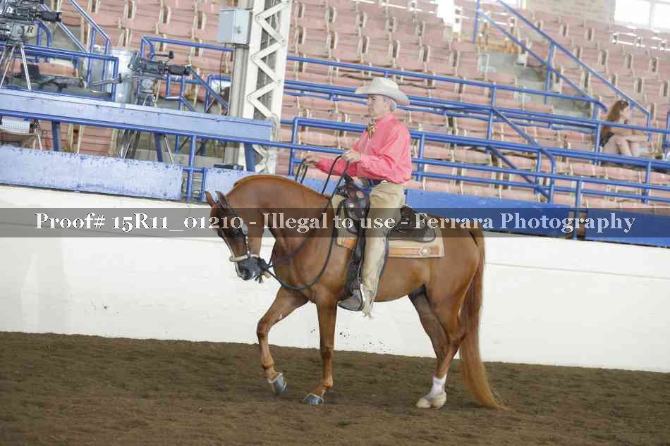 Proof 15R11_01210
