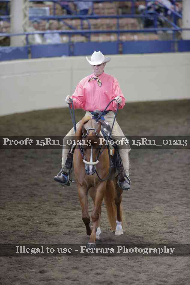 Proof 15R11_01213