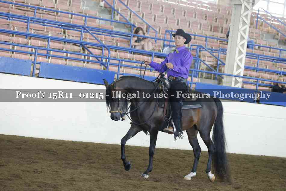 Proof 15R11_01215