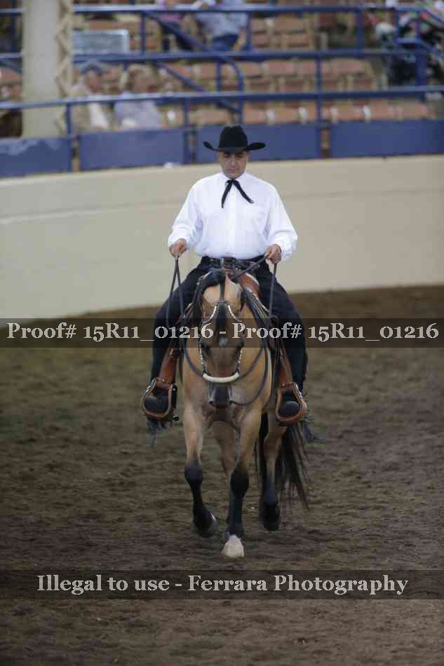 Proof 15R11_01216