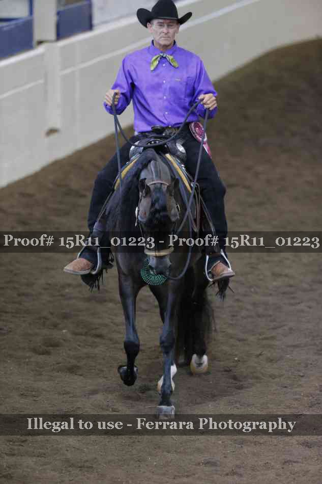 Proof 15R11_01223