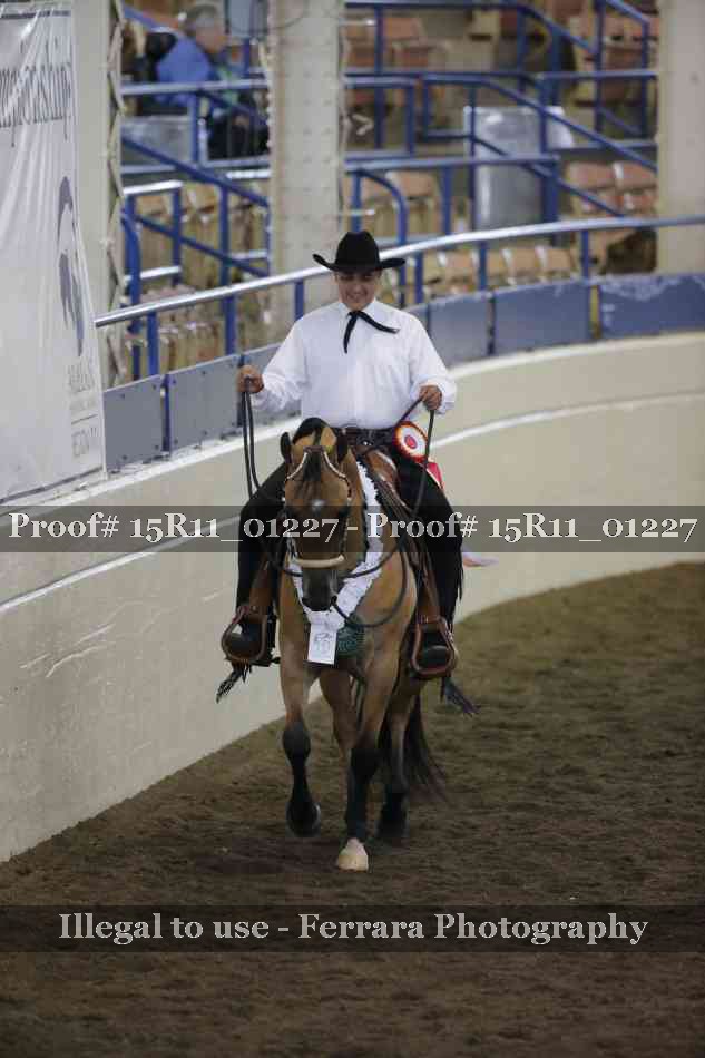 Proof 15R11_01227