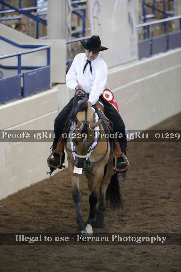 Proof 15R11_01229